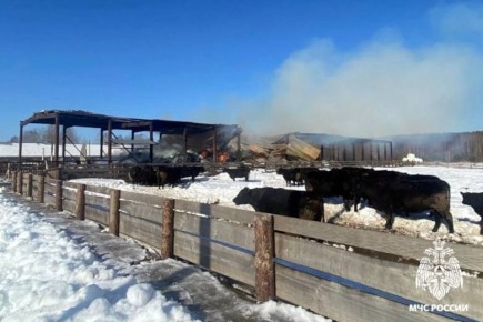 150 ���� ���� ������� � ���������� ������ � ���������� ������