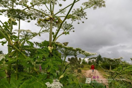 � 2026 ���� � ������� ��������� ���������� �� ��������� ����� 71 ������� �����