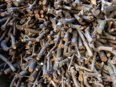 �� ������� ����������� �����: ��� ��� ����� ��������� ��� �������