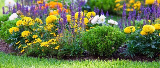 ������� � ������: � ��� ������ ��������?