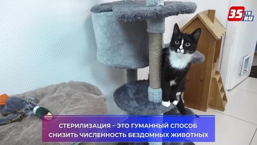 ��������������� ������� �������� ������������ �������� ����� ������ ����������� �������