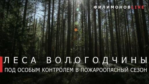 ������� ���������: �������� ������� ���� ������� ������ ������� �� �����������