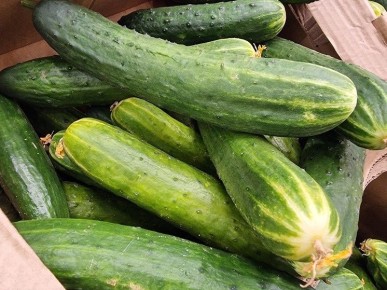 ������ � ���������: ������� ������� � ��������� ��� ���������