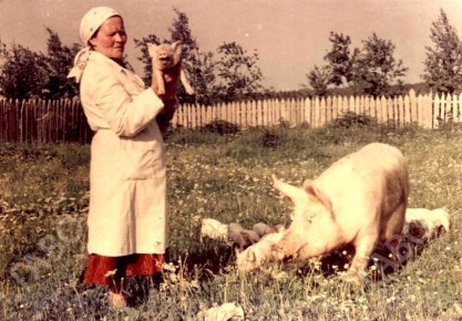 ������� ���������: �� ���� ������ � ������� ������������ ������������ ���������� �������