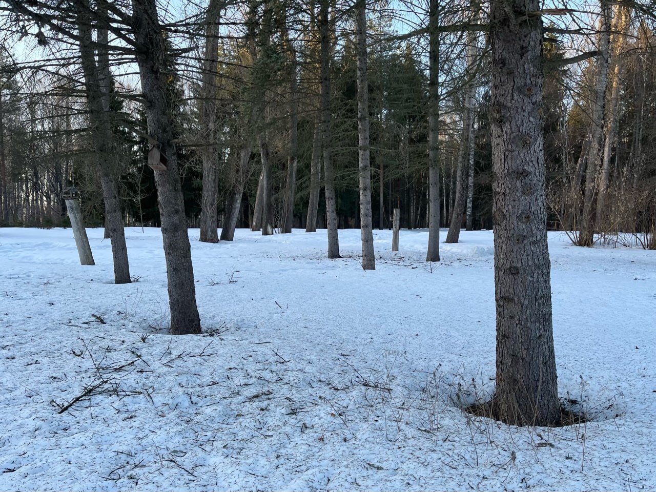Малооблачная погода и ночные заморозки ожидают вологжан в выходные