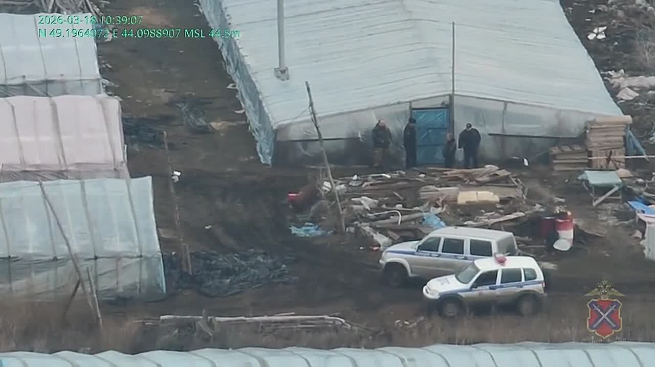 Силовики с дронами устроили облаву на мигрантов в теплицах под Вологдой