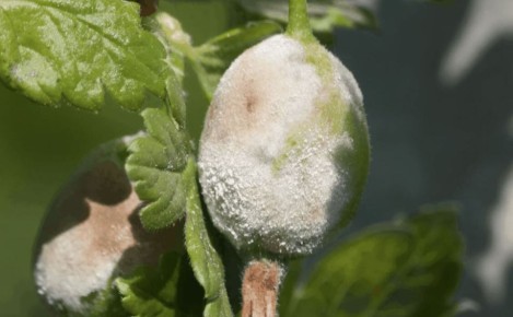 ��� �������� ��������� �� ��������� ���� � ��������� ������