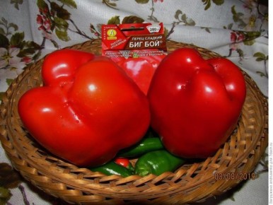 Перец Биг Бон: идеальный выбор для раннего урожая
