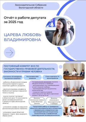 Любовь Царева представила отчет о депутатской деятельности за 2025 год