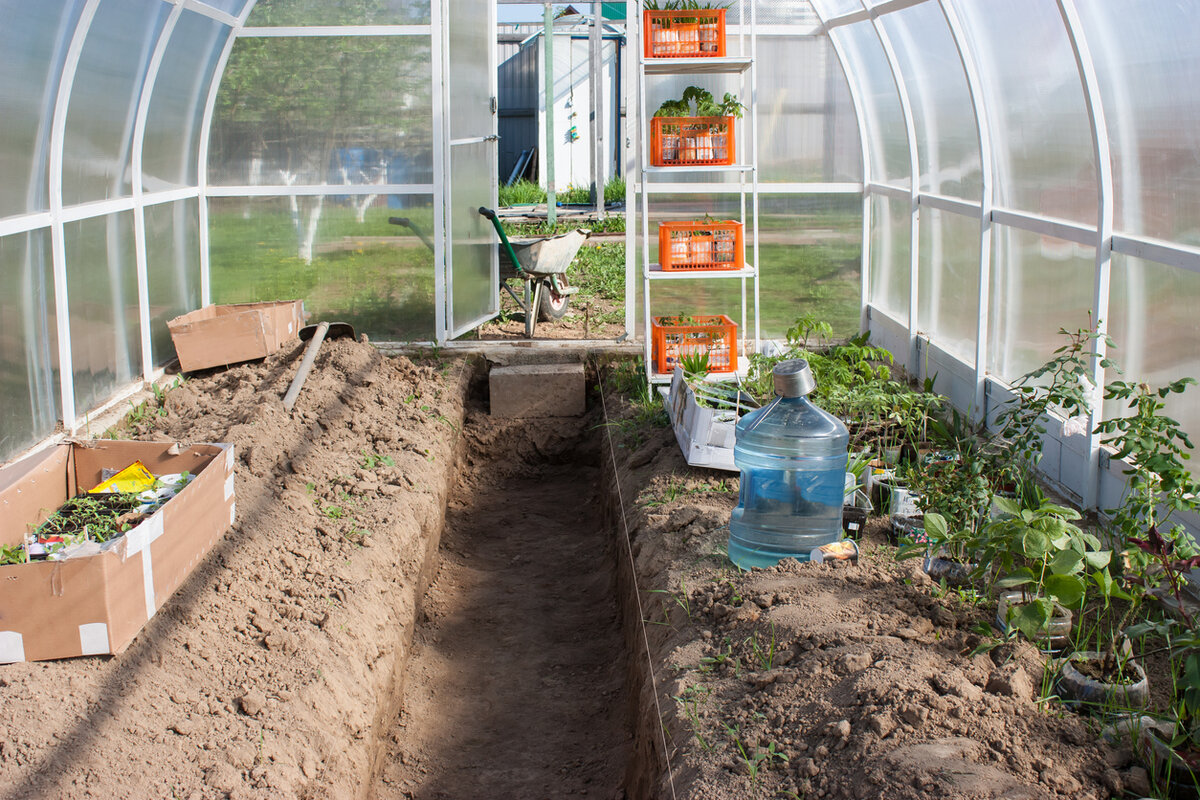 Идеальные грядки для вашей теплицы: размеры и материалы