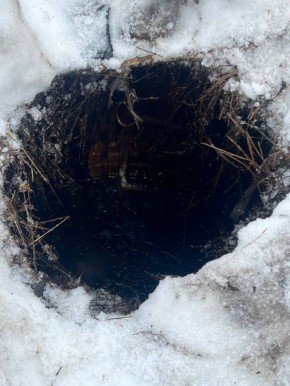 ������������� � ������� ������� ������ � ������