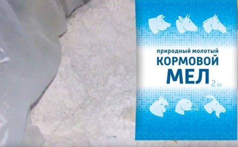 �������� ���: ����������� �������� ������� ��� ������ ����� � �����