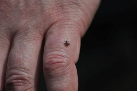 ������ ������ ����� ����� � 2026 ���� ������������ �� �����������