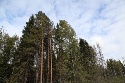 � 1 ������ �� ����������� �������� ������ ����������� ������������� ������ ������� ���������