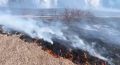 С приходом аномально теплой погоды на Вологодчине начались палы сухой травы