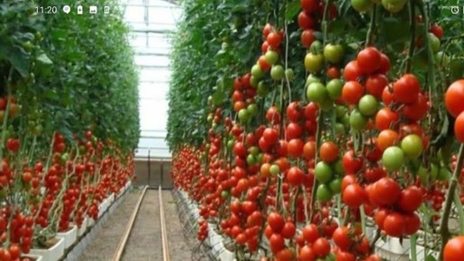 ��� ������� ��������� ������ ��� ������� ������: ������� � ������