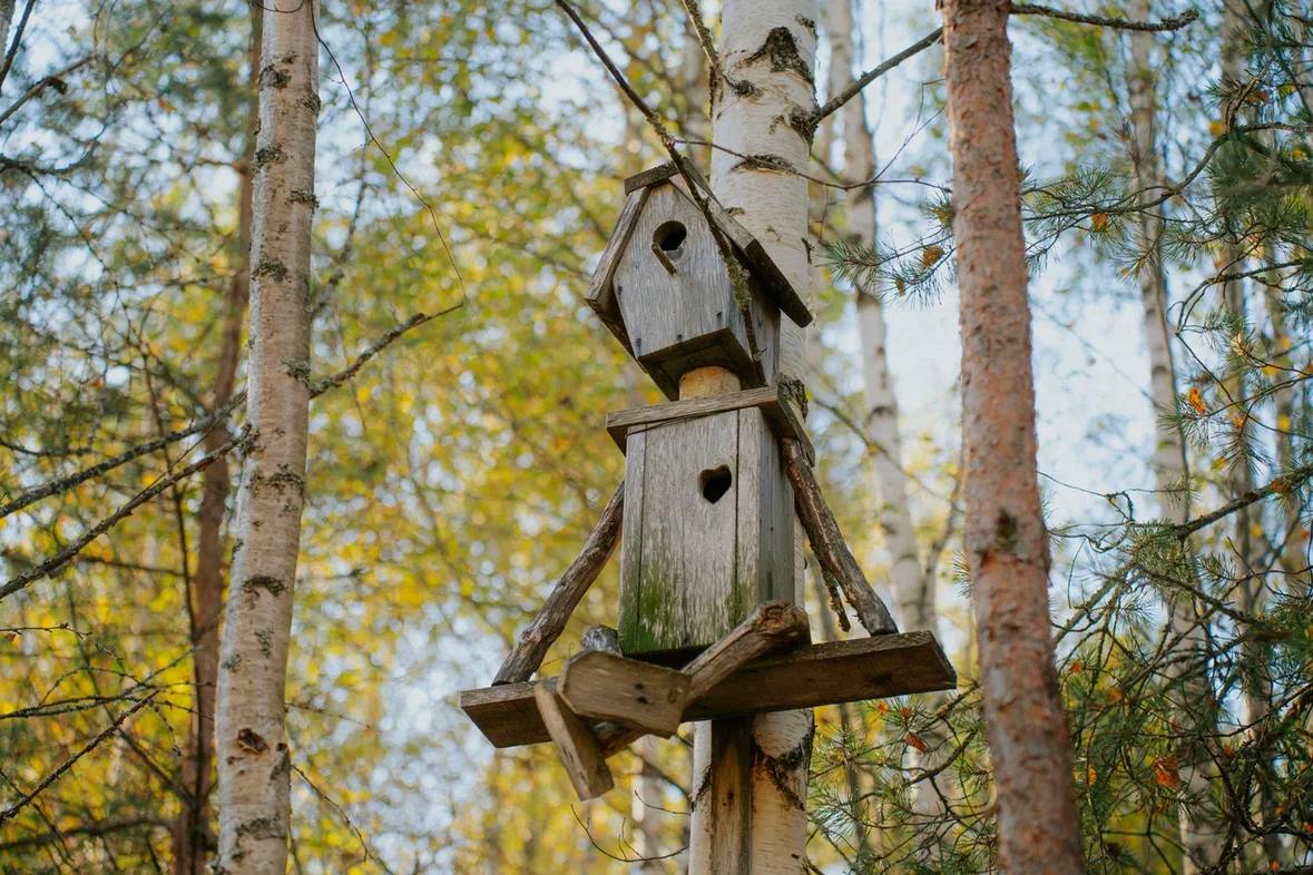 Планируйте экопутешествие по Вологодской области онлайн Планируйте экопутешествие по Вологодской области онлайн