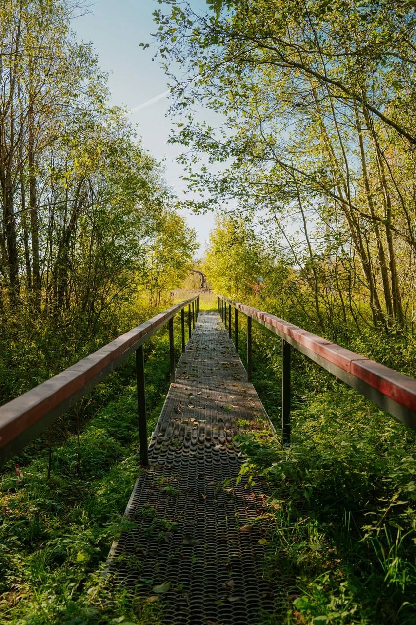 Планируйте экопутешествие по Вологодской области онлайн Планируйте экопутешествие по Вологодской области онлайн
