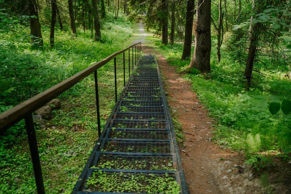 Планируйте экопутешествие по Вологодской области онлайн Планируйте экопутешествие по Вологодской области онлайн