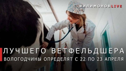 ������� ���������: ������ ������������ ���������� ������� �� �����������