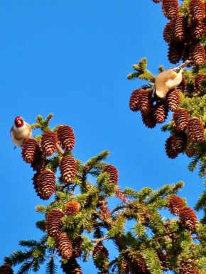 ���� +9� +14�, ���������� ����������, ��������������� ��� �������