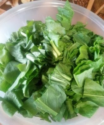 Непревзойдённый щавель на зиму: как сохранить витамины