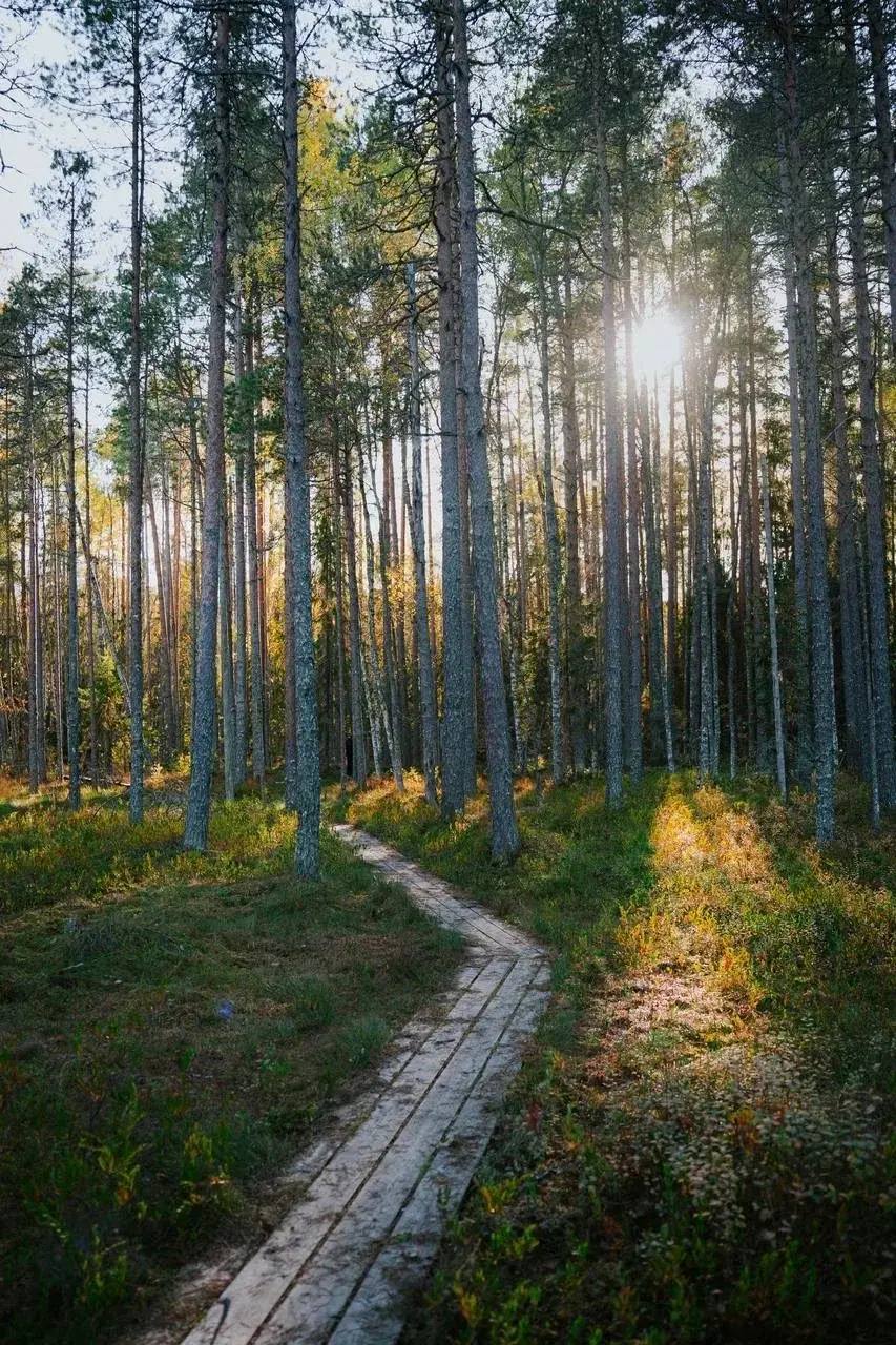 Андрей Накрошаев: Туристический портал «Путешествуй по Вологодчине», о котором на своих ресурсах рассказал Губернатор Георгий Юрьевич Филимонов, открывает отличные возможности для экотуризма Андрей Накрошаев: Туристический портал «Путешествуй по Вологодчине», о котором на своих ресурсах рассказал Губернатор Георгий Юрьевич Филимонов, открывает отличные возможности для экотуризма