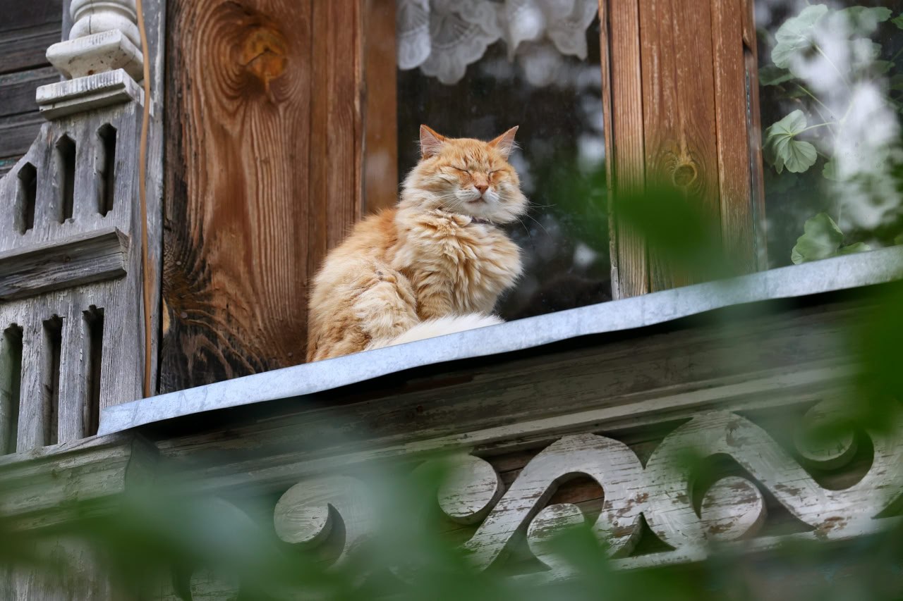 Апрель в Вологодской области обещает стать на 1–2 градуса теплее обычного