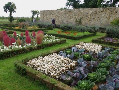 ��� ��������� ���� ����� ������ � ����������� ������ � ������