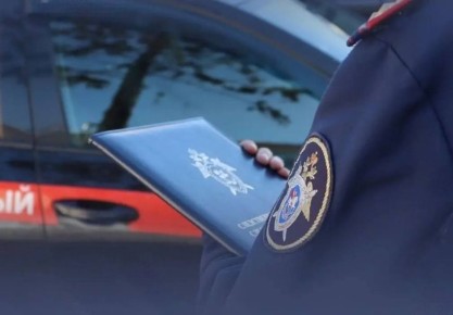 29-летней жительнице Вологды предъявлено обвинение в убийстве сожителя