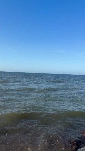 ������� ���������: ������� ����� ���� ������������ � �����������