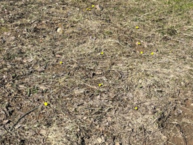 ������ ����-�-������ �������� � ����������� ������� ������ �� �������