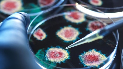 Роспотребнадзор предупреждает о растущих эпидемиологических рисках в России