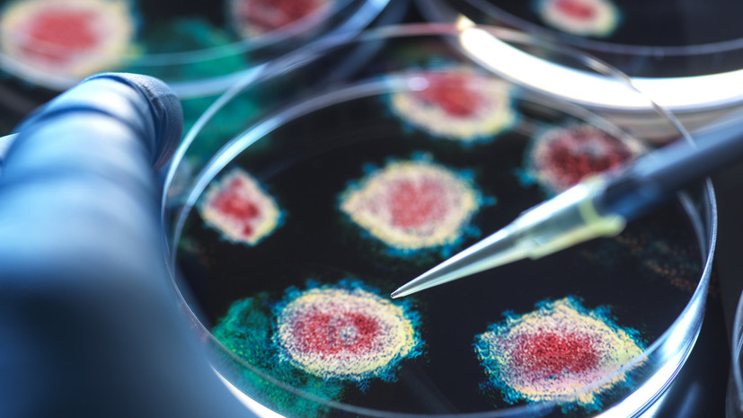 Роспотребнадзор предупреждает о растущих эпидемиологических рисках в России