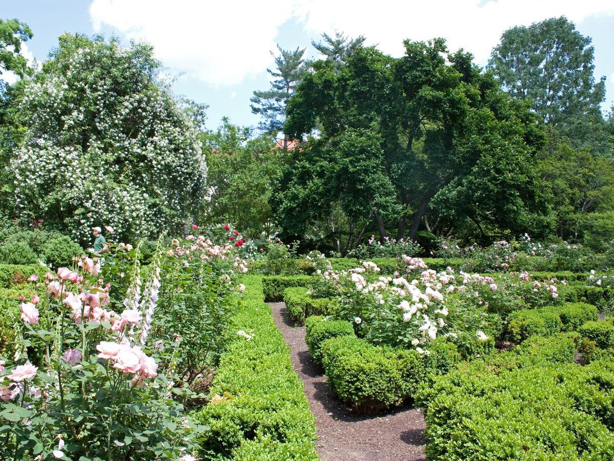 Как создать пугающее пугало для защиты урожая