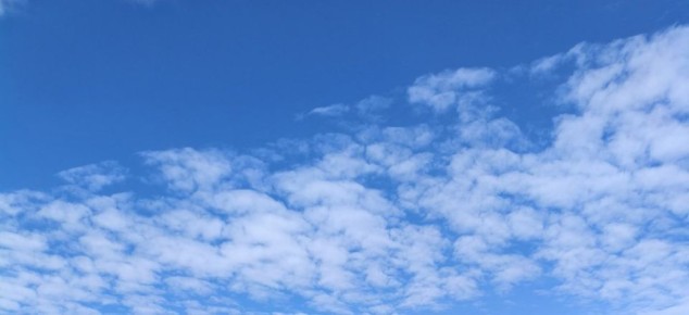 �������� ����: ������ � ��������� ��������� �� ��������� 18 ��������