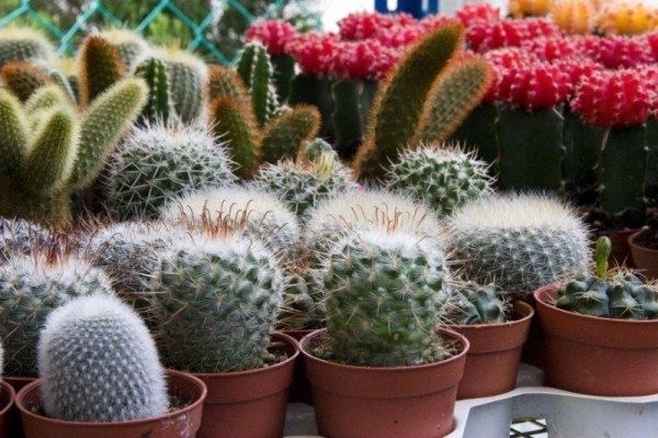 ������� � ����� ����: ������� ��������� ����� � ������ ������