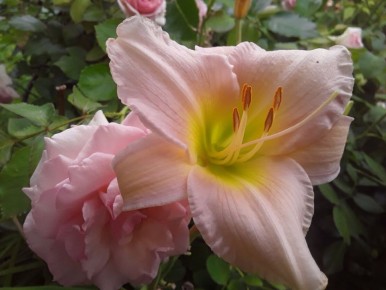 ����������� ����� � �������� ����: ��� ������ ������?