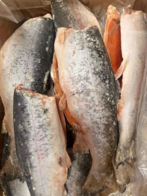 ������ �� ���������: �������� � �������� �� ��������� ����