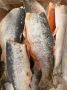 Форель из Мурманска: свежесть и качество по доступной цене