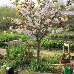 ��������� ��� �����: ����� �������� ����� ����� ������� ������