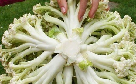 ��������� �������: ����� ������ �� ��������� ����