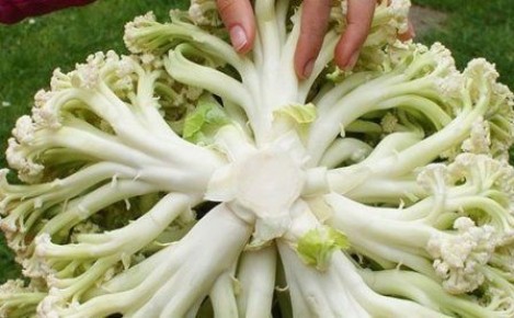 ��������� �������: ����� ������ �� ��������� ����