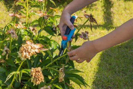 ������� ����� �� �������������� ����� ��������