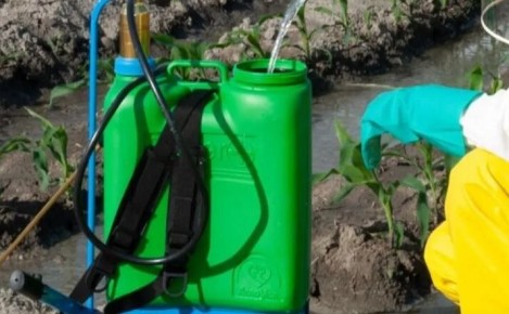 ��� �������� ������ ��� ���������� ���������� ��� ����: ������� �������� ������� ������