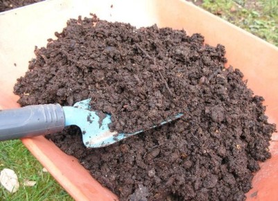 �����: �������� ������ ��� ������� ������ ��� ������ ����?