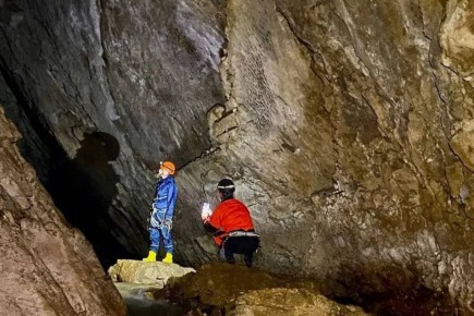 ���������� �������� ��������� � ������ ������ ������� � ������������� ����