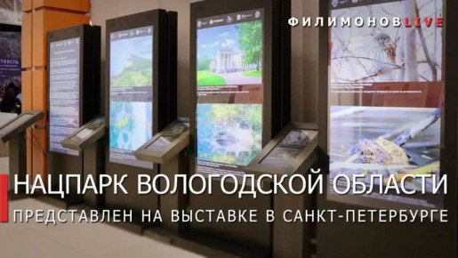 ������� ���������: ������������ � �������� �������� ����� �������� � �����-����������