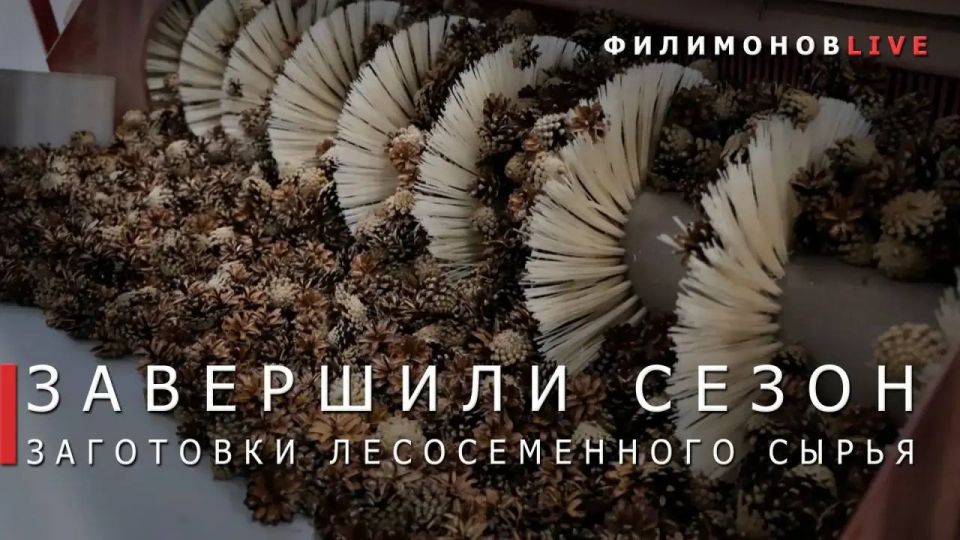 ������� ���������: �������� �������� ��� ������������������ �������� �� ����������� � �������� ������
