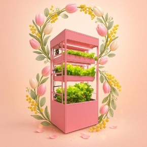 ��������� ����������� ��� ��������� ����������